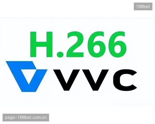 纠偏被滥用的行业概念：H.266硬件加速应聚焦于解决当下问题，而非服务于虚无的“元宇宙观赛